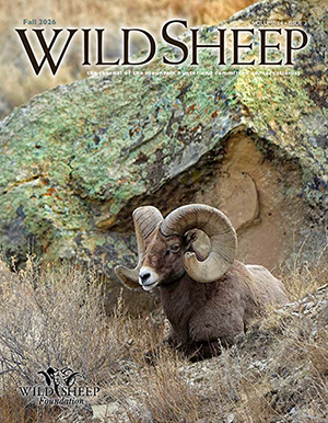 WILD SHEEP Magazine Fall 2026